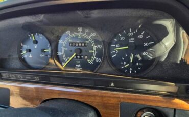 Mercedes-benz-300-class-sd-diesel-1982-grey-20