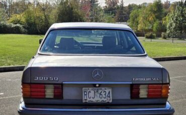Mercedes-benz-300-class-sd-diesel-1982-grey-7