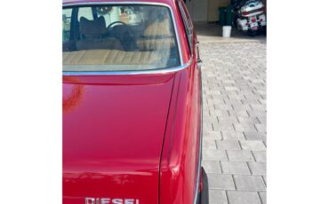 Mercedes-benz-300d-1976-Desert-Red-Palomino-Tan-10