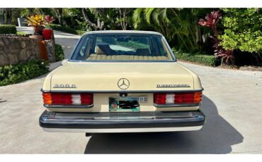 Mercedes-benz-300d-1982-Beige-Palamino-1