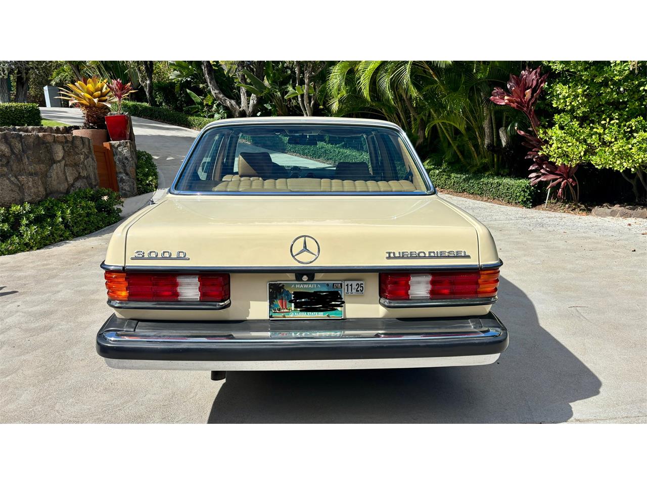 Mercedes-benz-300d-1982-Beige-Palamino-1