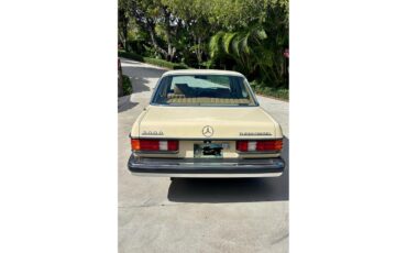 Mercedes-benz-300d-1982-Beige-Palamino-3