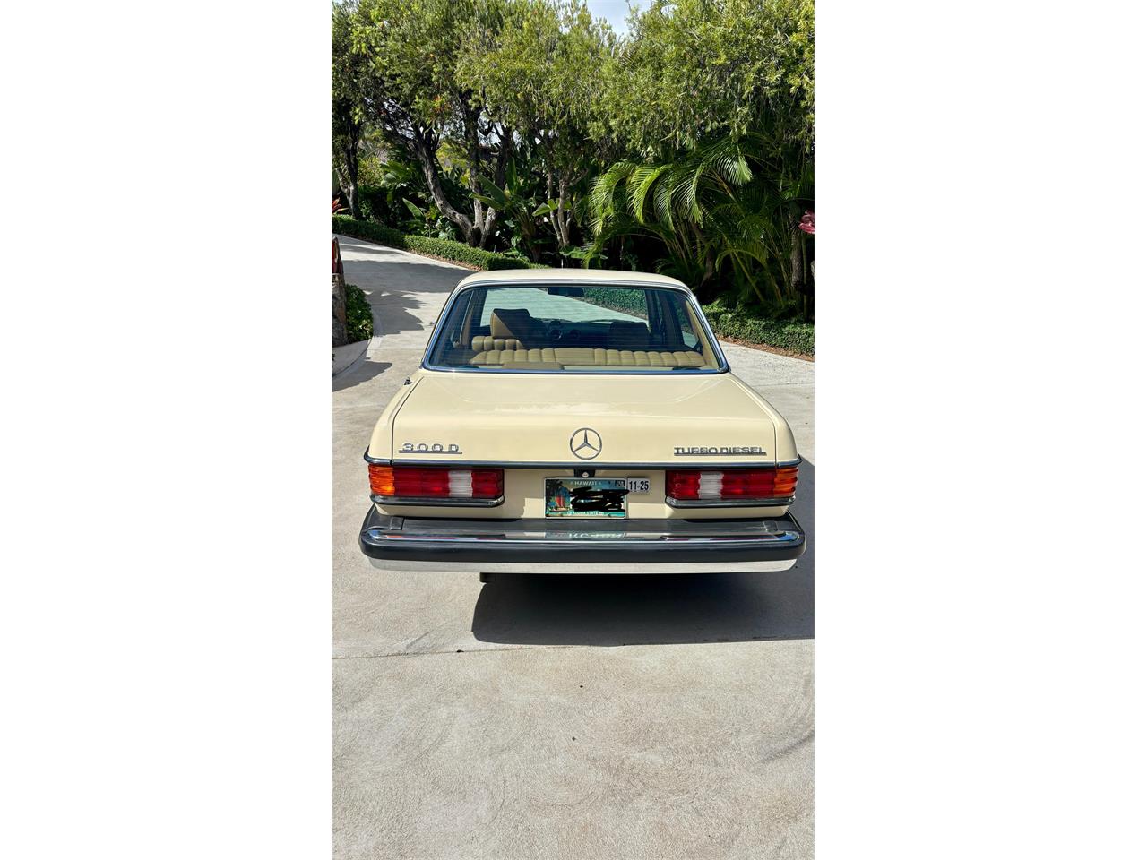 Mercedes-benz-300d-1982-Beige-Palamino-3
