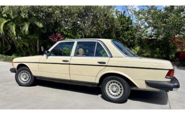 Mercedes-benz-300d-1982-Beige-Palamino
