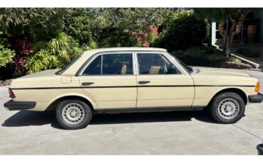 Mercedes-benz-300d-1982-Beige-Palamino-4