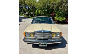 Mercedes-benz-300d-1982-Beige-Palamino-5