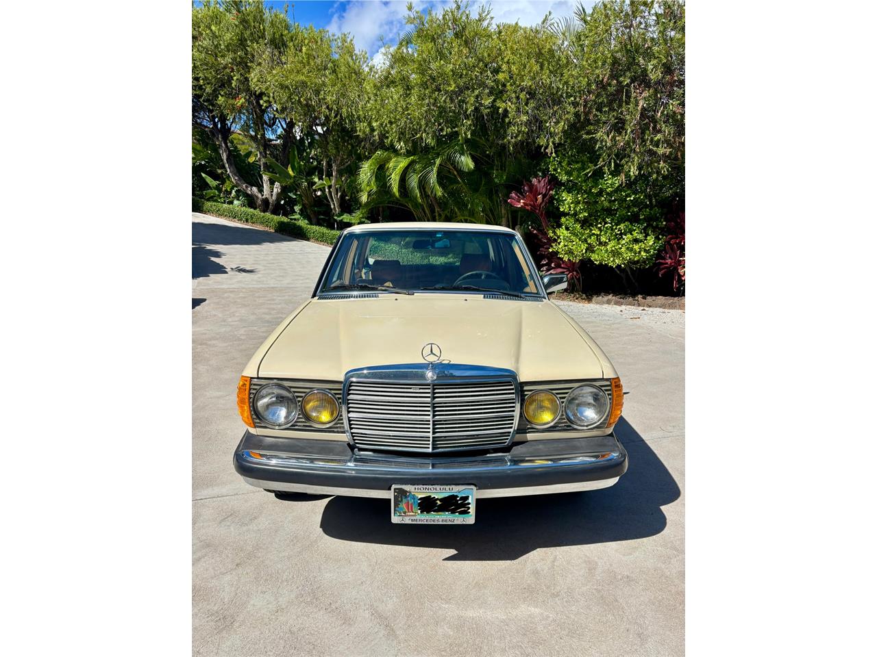 Mercedes-benz-300d-1982-Beige-Palamino-5