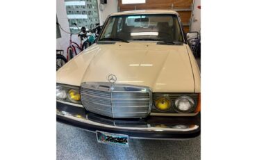 Mercedes-benz-300d-1982-Beige-Palamino-6