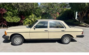 Mercedes-benz-300d-1982-Beige-Palamino-7