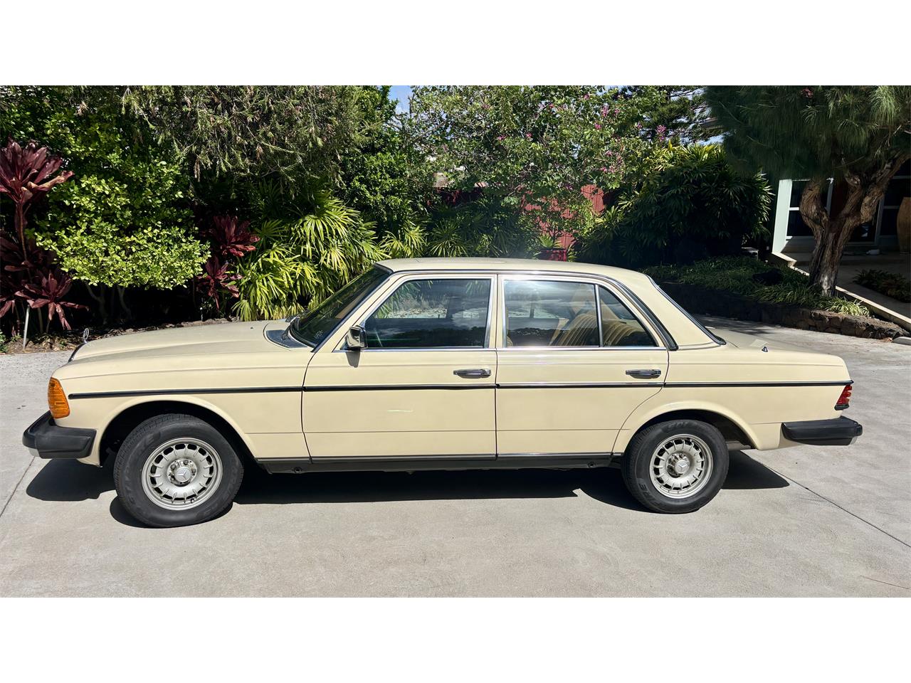 Mercedes-benz-300d-1982-Beige-Palamino-7