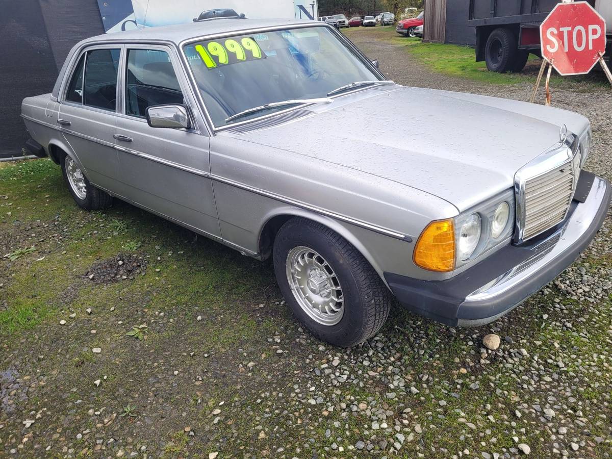 Mercedes-benz-300d-diesel-1977-silver-1