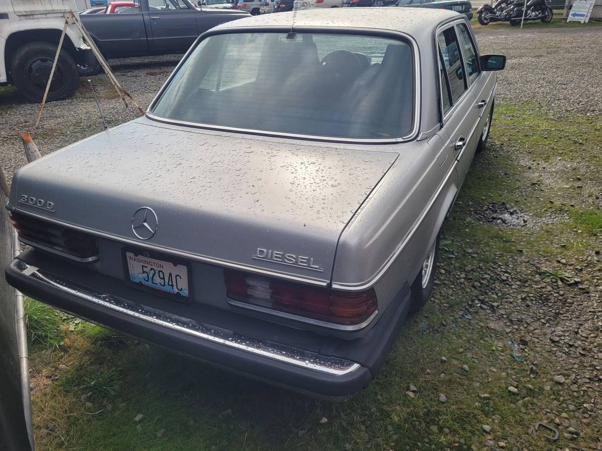 Mercedes-benz-300d-diesel-1977-silver-3