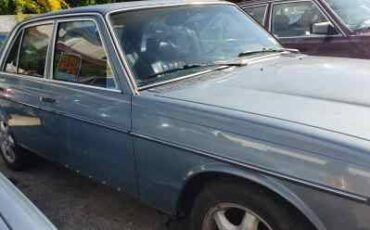 Mercedes-benz-300d-diesel-1979-blue-1