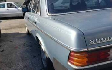 Mercedes-benz-300d-diesel-1979-blue-2