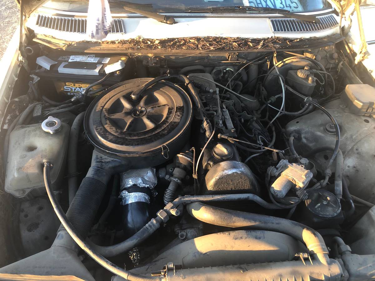 Mercedes-benz-300d-diesel-1982-yellow-1