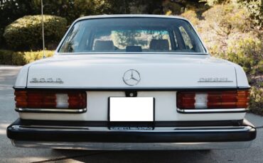 Mercedes-benz-300dt-1981-Light-Ivory-Palomino-Leather-1