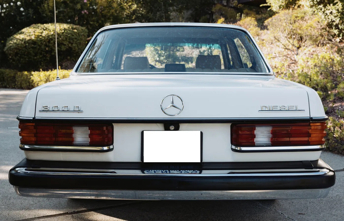 Mercedes-benz-300dt-1981-Light-Ivory-Palomino-Leather-1