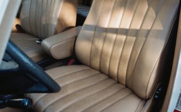 Mercedes-benz-300dt-1981-Light-Ivory-Palomino-Leather-13