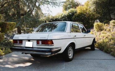 Mercedes-benz-300dt-1981-Light-Ivory-Palomino-Leather