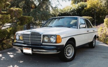 Mercedes-benz-300dt-1981-Light-Ivory-Palomino-Leather