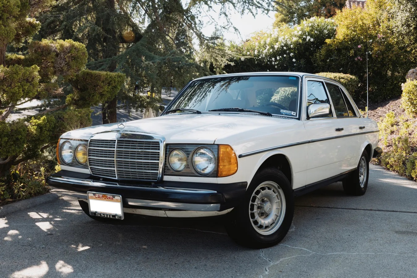 Mercedes-benz-300dt-1981-Light-Ivory-Palomino-Leather-4