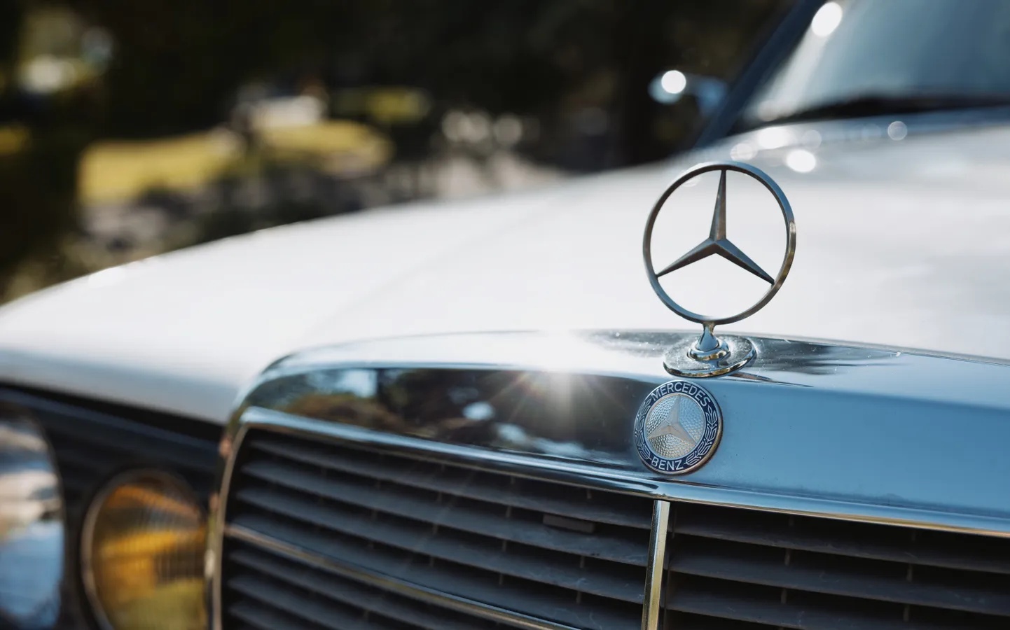 Mercedes-benz-300dt-1981-Light-Ivory-Palomino-Leather-5