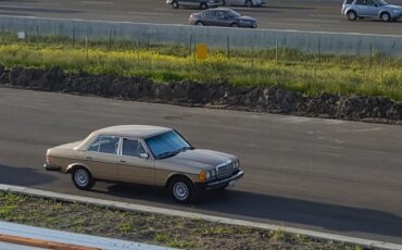 Mercedes-benz-300dt-1984-Gold-Palomino