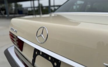 Mercedes-benz-300sd-1982-Light-Ivory-Brown-10