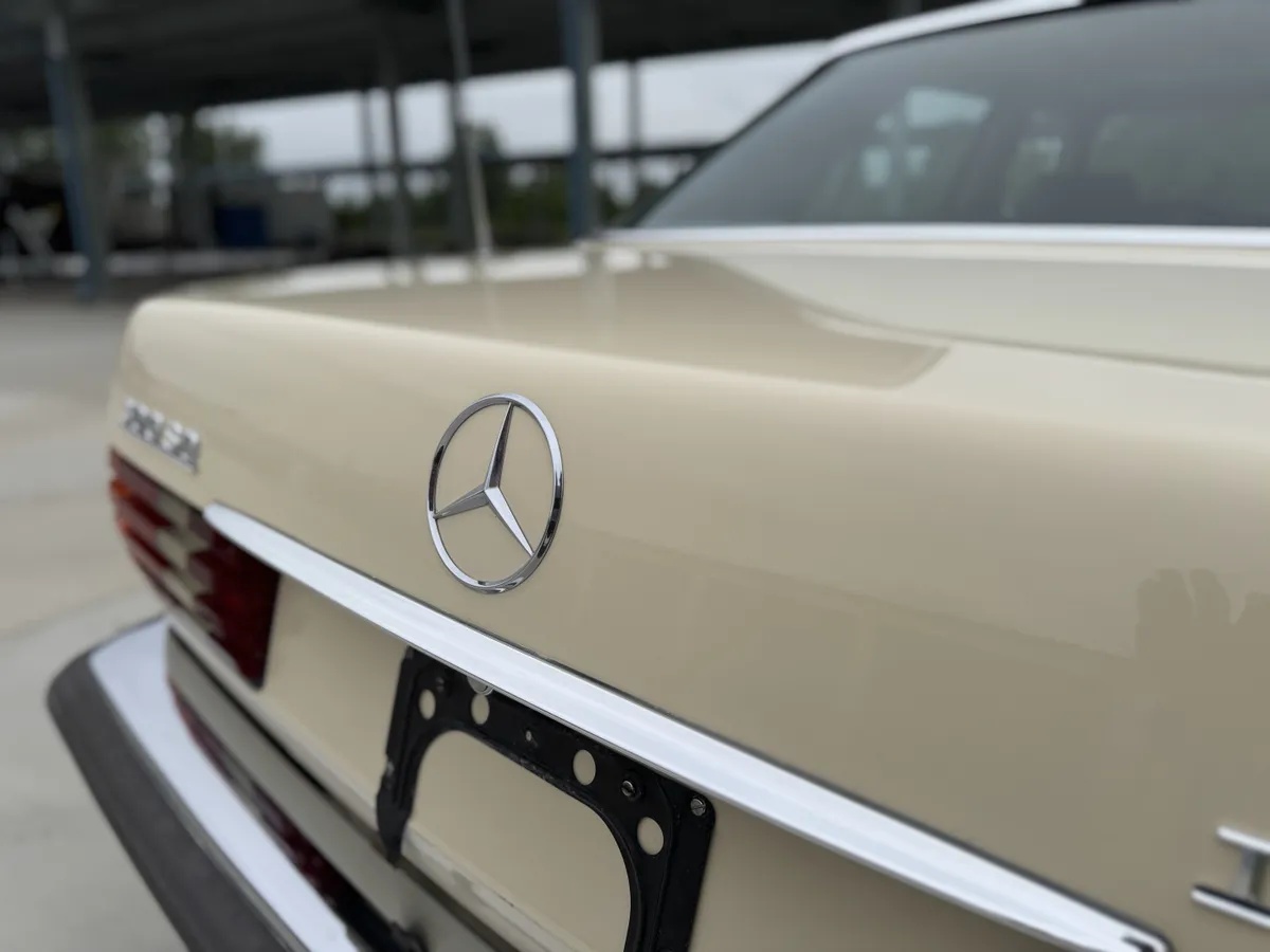 Mercedes-benz-300sd-1982-Light-Ivory-Brown-10