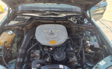 Mercedes-benz-420-420sel-1989-blue-7