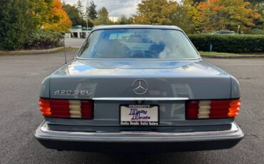 Mercedes-benz-420-sel-1988-blue-9