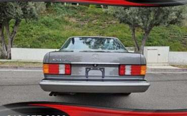 Mercedes-benz-420-sel-1991-grey-14
