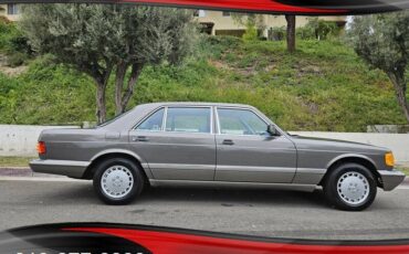 Mercedes-benz-420-sel-1991-grey-9