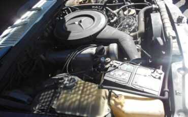 Mercedes-benz-450-sel-1975-black-13