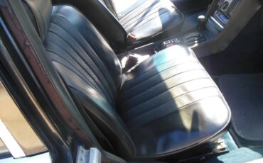 Mercedes-benz-450-sel-1975-black-8