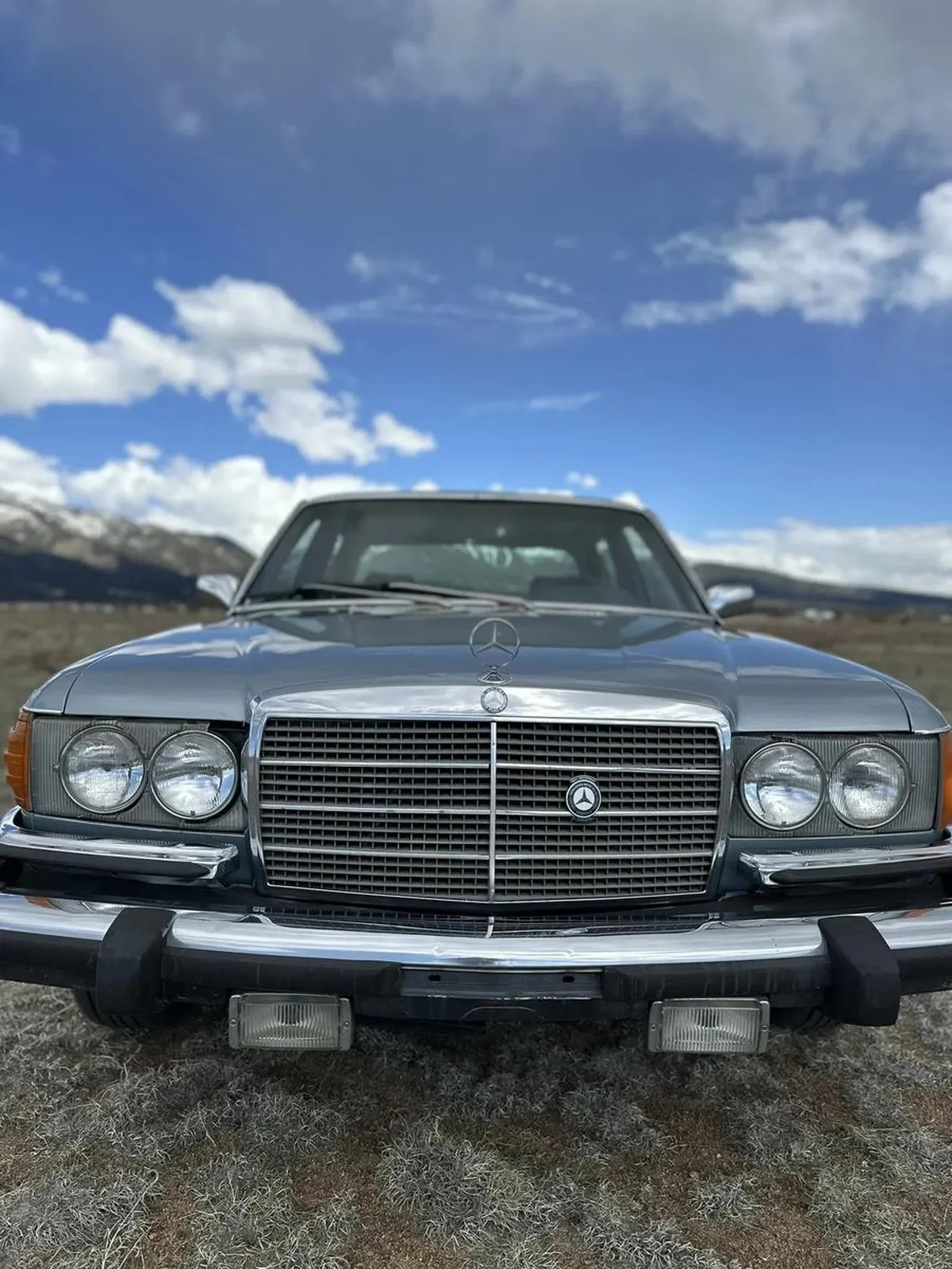 Mercedes-benz-450sel-1980-2
