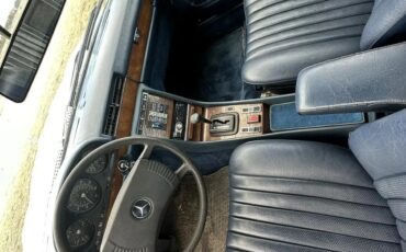 Mercedes-benz-450sel-1980-8