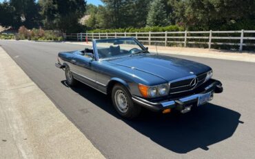 Mercedes-benz-450sl-1974-15