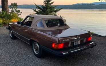 Mercedes-benz-450sl-1976-brown-2