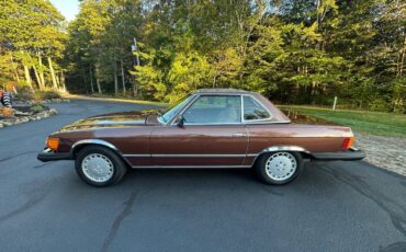 Mercedes-benz-450sl-1979-brown-10
