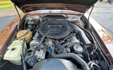 Mercedes-benz-450sl-1979-brown-11