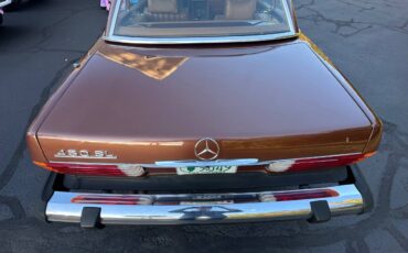 Mercedes-benz-450sl-1979-brown-15