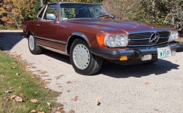 Mercedes-benz-450sl-1979-brown