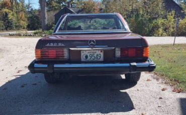 Mercedes-benz-450sl-1979-brown-7