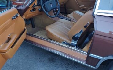 Mercedes-benz-450sl-1979-brown-8