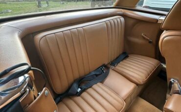 Mercedes-benz-450sl-1979-brown-9