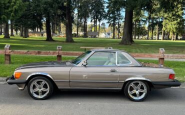 Mercedes-benz-560-sl-1988-brown-10