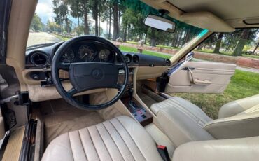 Mercedes-benz-560-sl-1988-brown-14