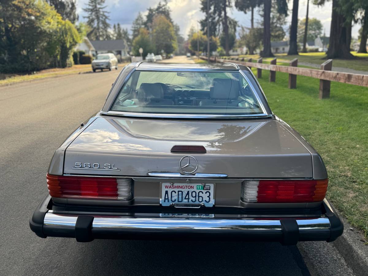Mercedes-benz-560-sl-1988-brown-8