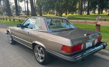 Mercedes-benz-560-sl-1988-brown-9